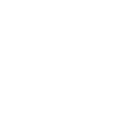 forte icons low maintenance